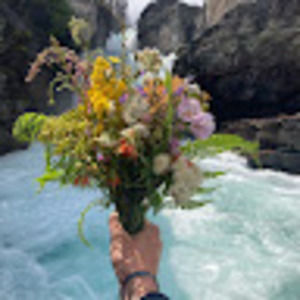 Meet your Posher, Luci